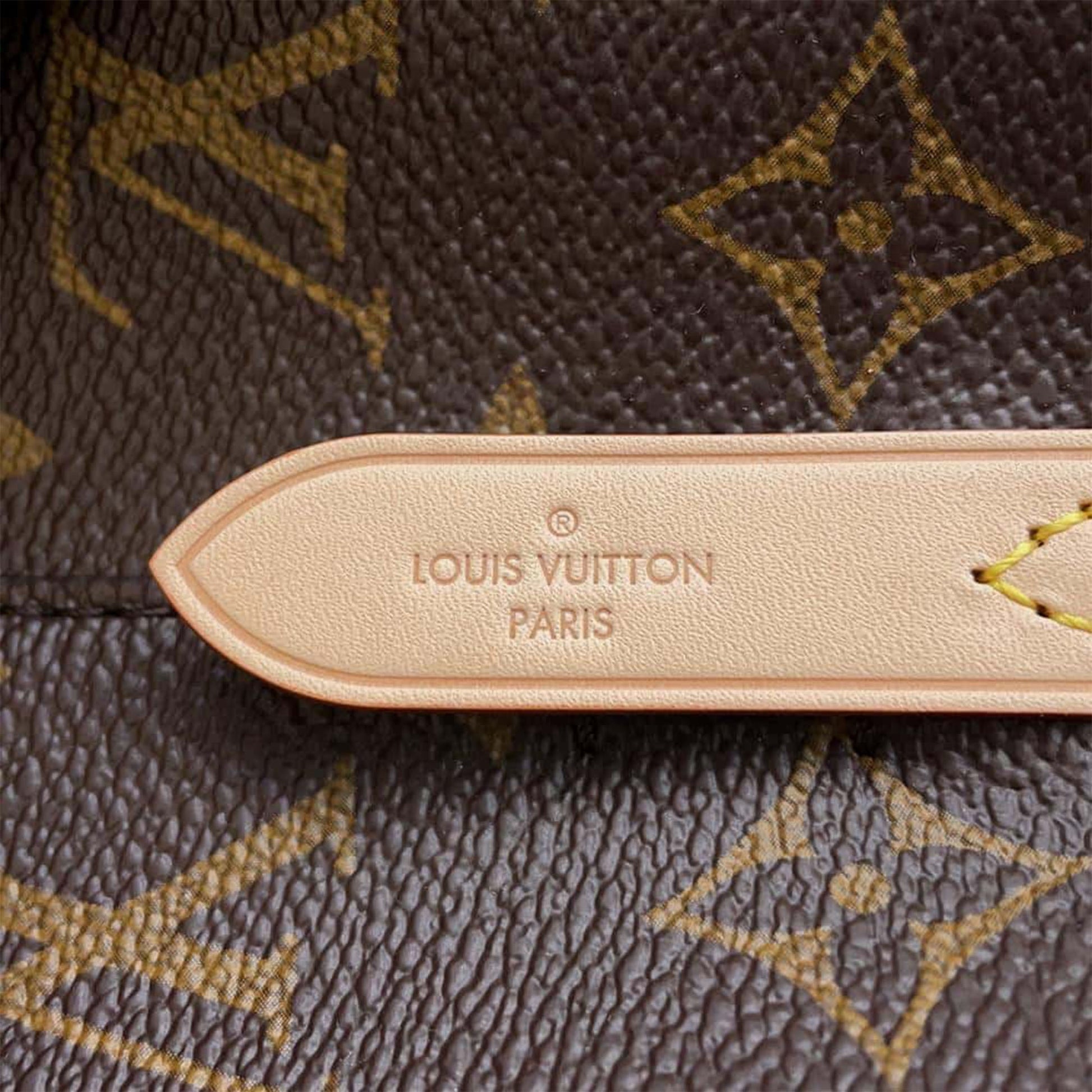Louis Vuitton Monogram Neonoe BB