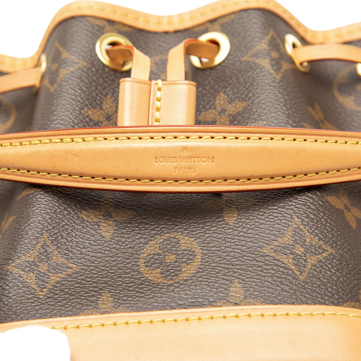 Louis Vuitton Monogram Nano Noe