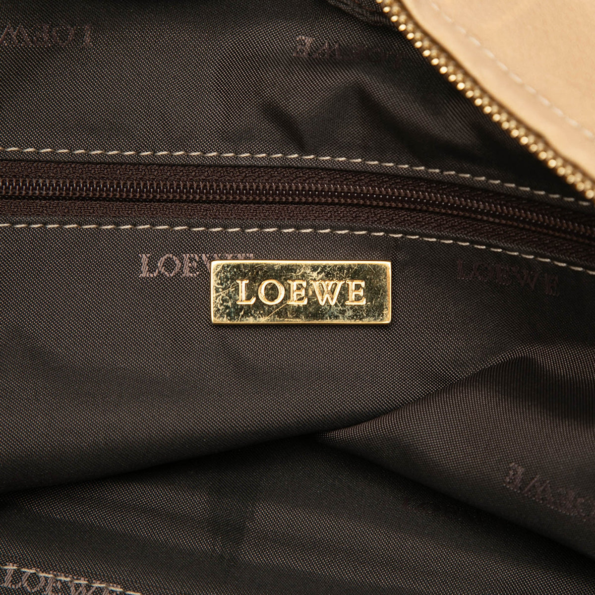 LOEWE Metallic Leather Amazona 28