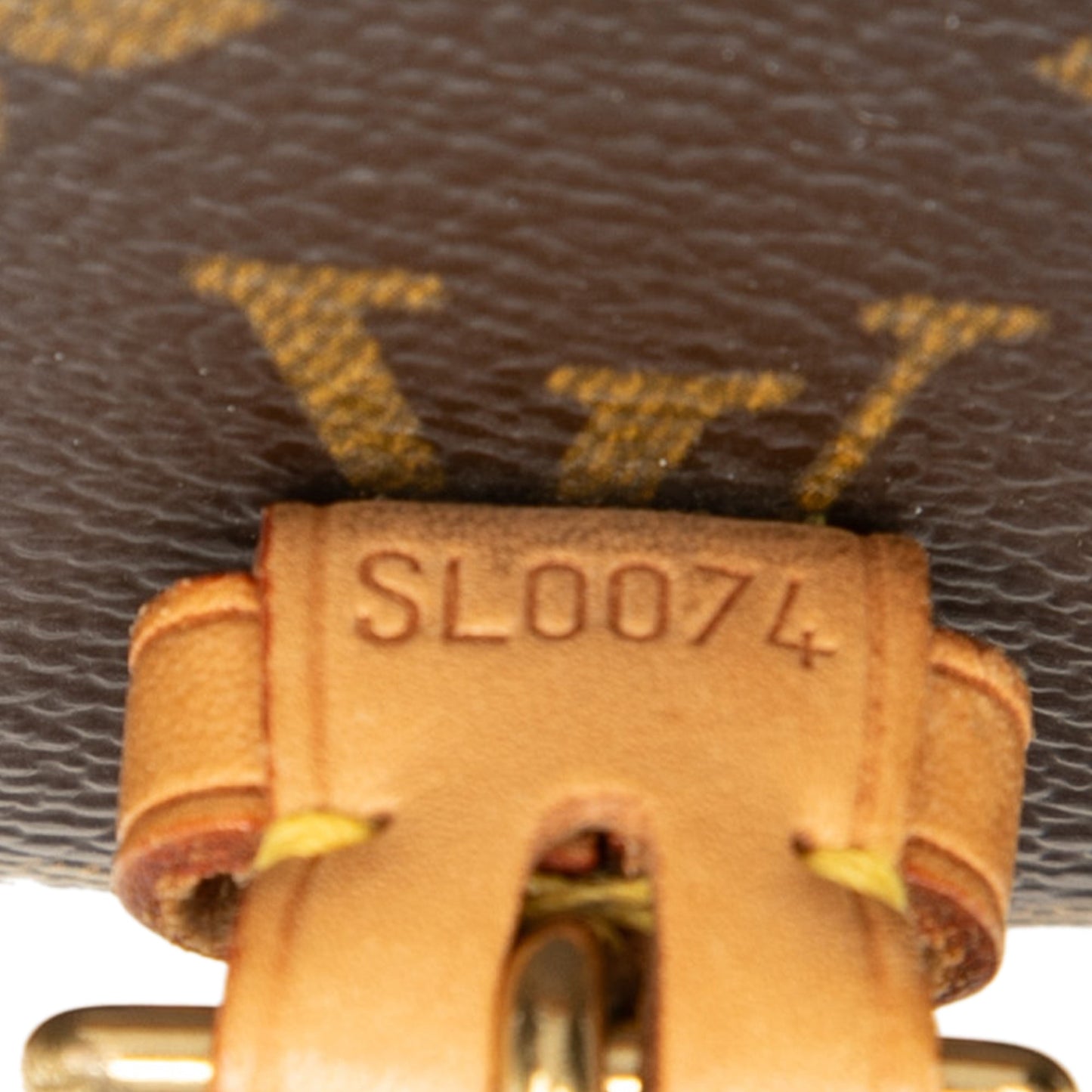 Louis Vuitton Monogram Sologne