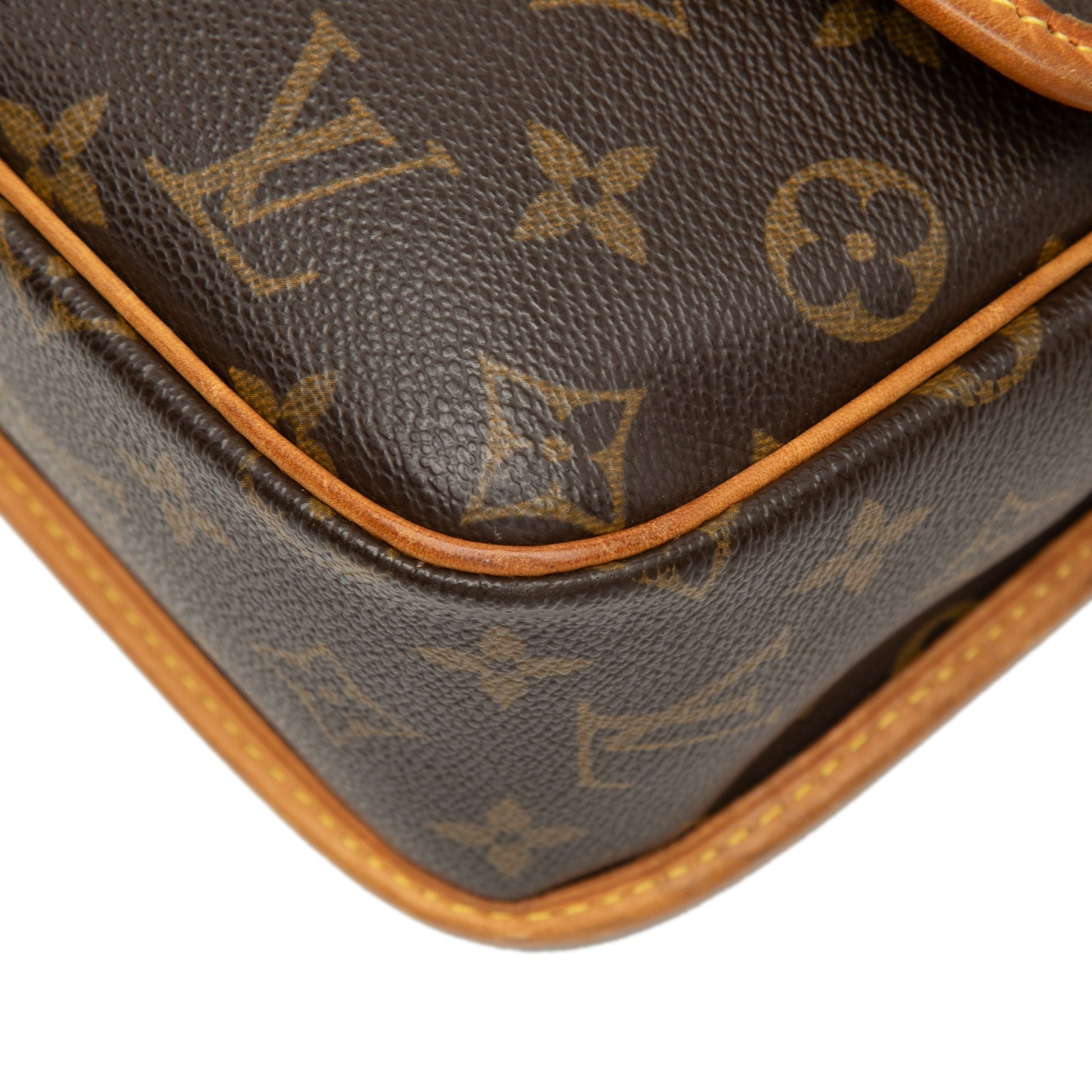Louis Vuitton Monogram Sologne