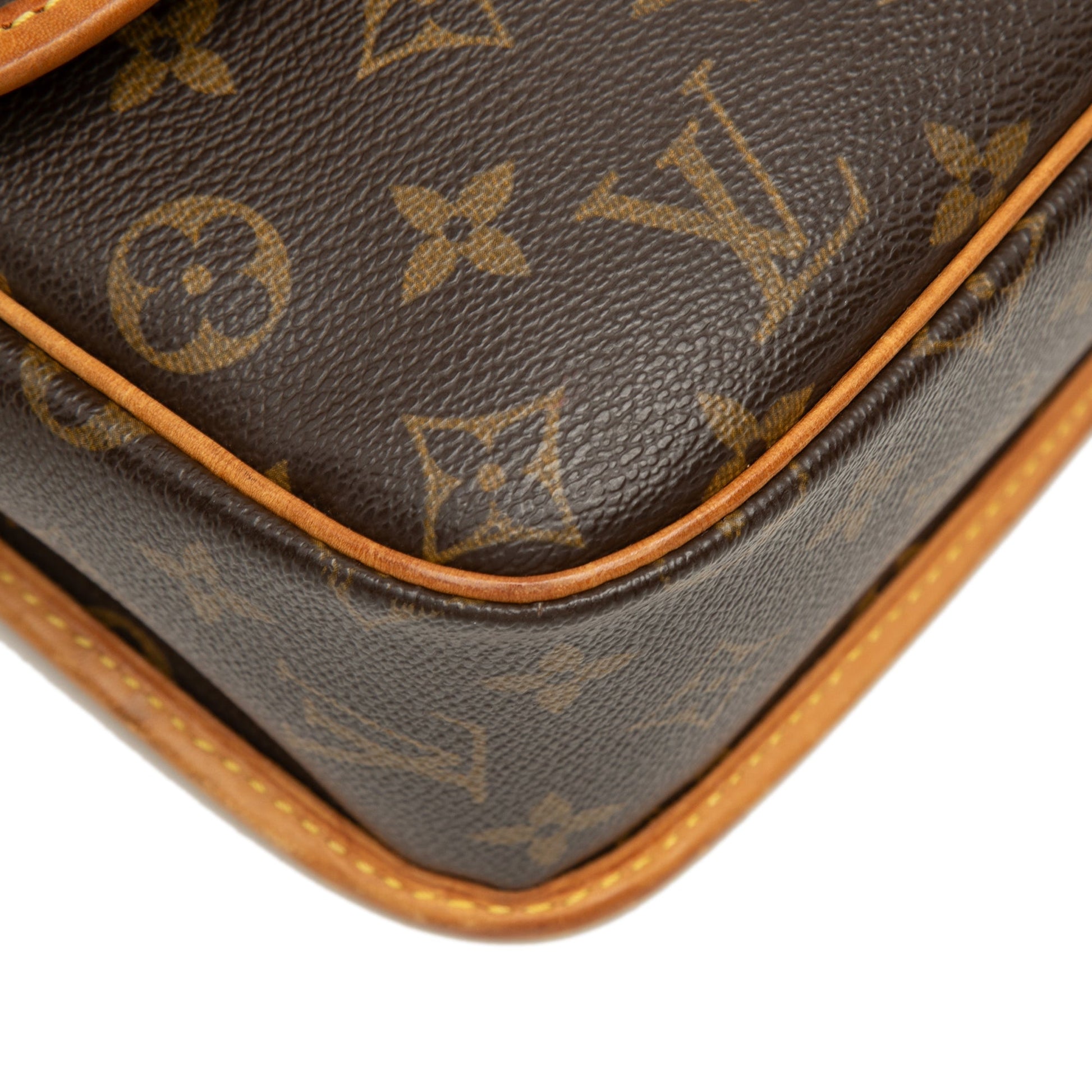 Louis Vuitton Monogram Sologne