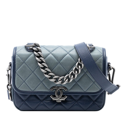 Chanel Small Quilted Iridescent Calfskin and Caviar Daily Carry Flap
