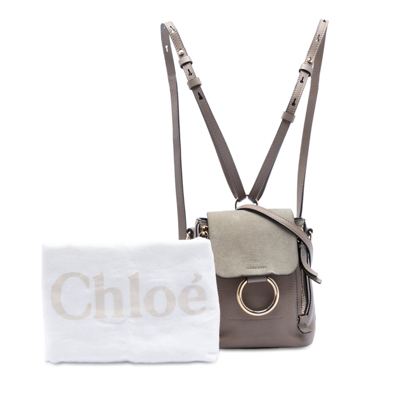 Chloé Mini Calfskin and Suede Faye Backpack
