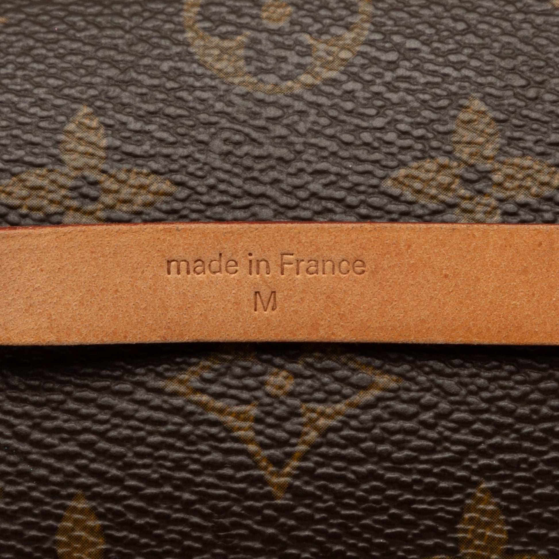 Louis Vuitton Monogram Pochette Florentine
