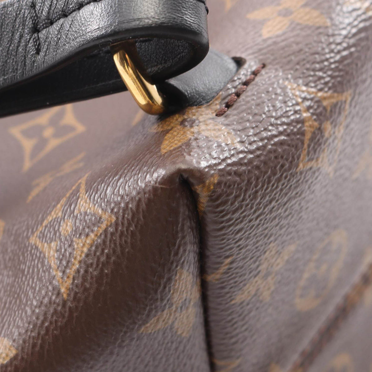 Louis Vuitton Monogram Montsouris PM