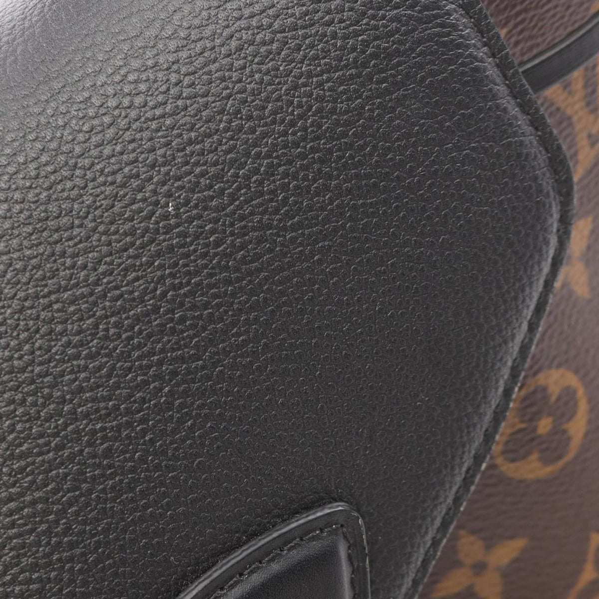 Louis Vuitton Monogram Montsouris PM