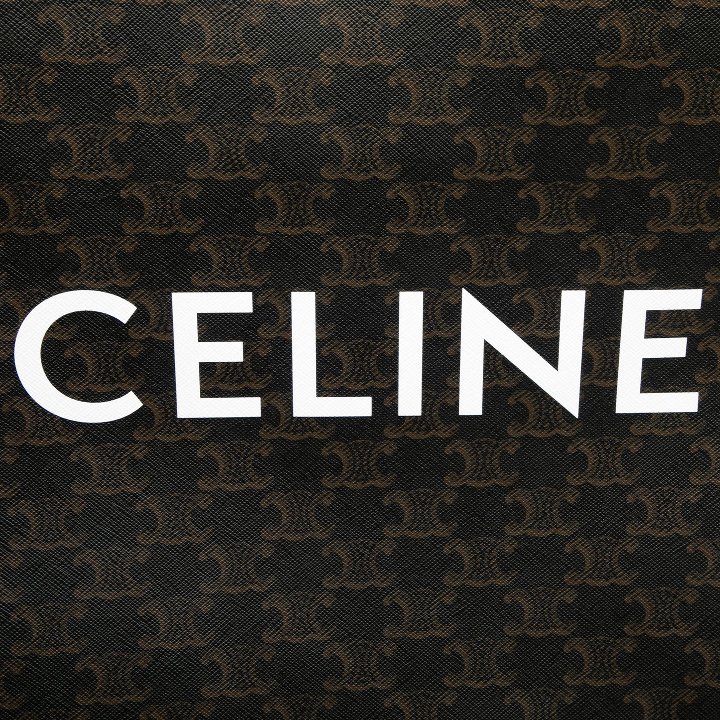 Celine Medium Triomphe Coated Canvas Vertical Cabas Tote
