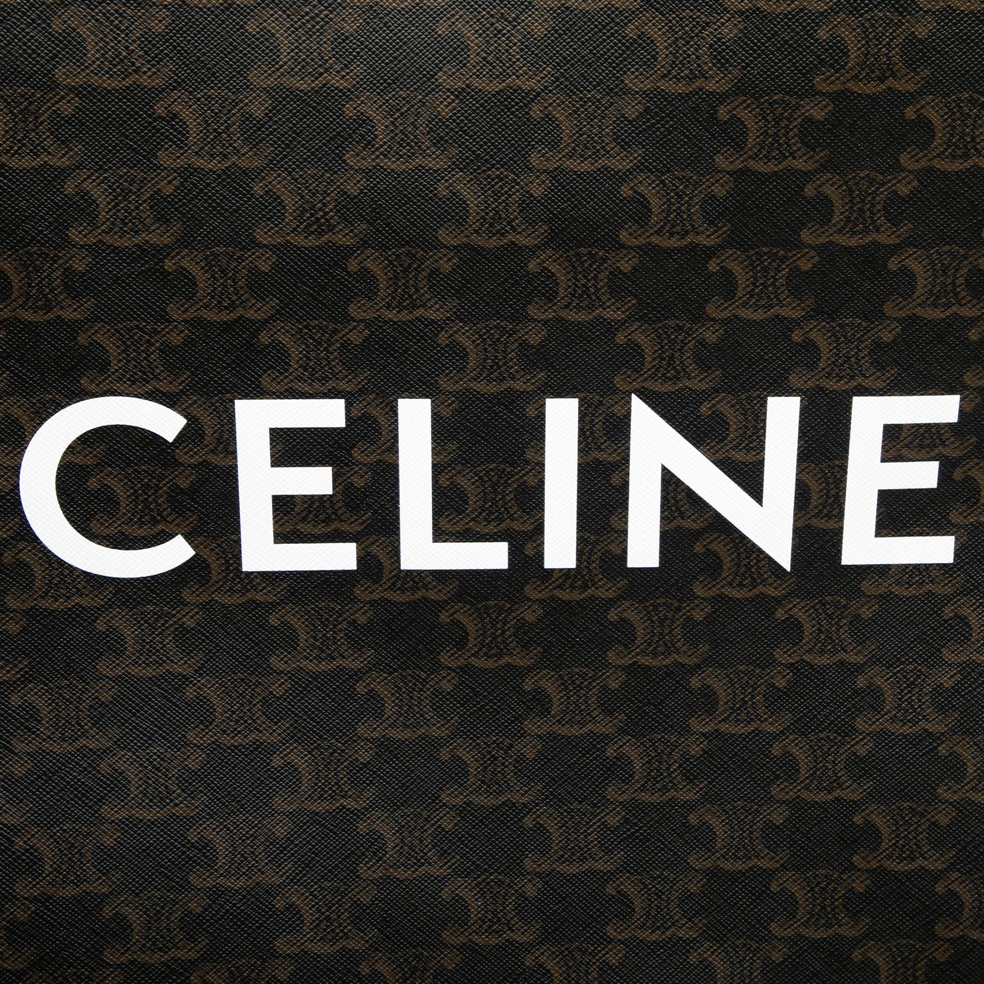 Celine Medium Triomphe Coated Canvas Vertical Cabas Tote