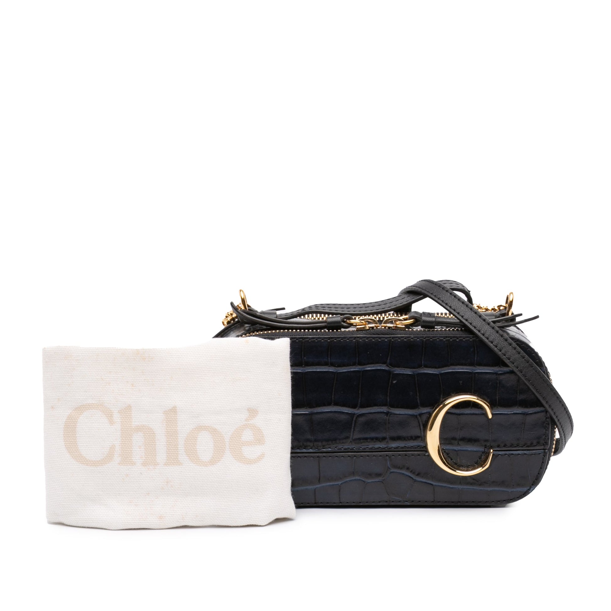 Mini Croc Embossed Leather C Vanity Bag