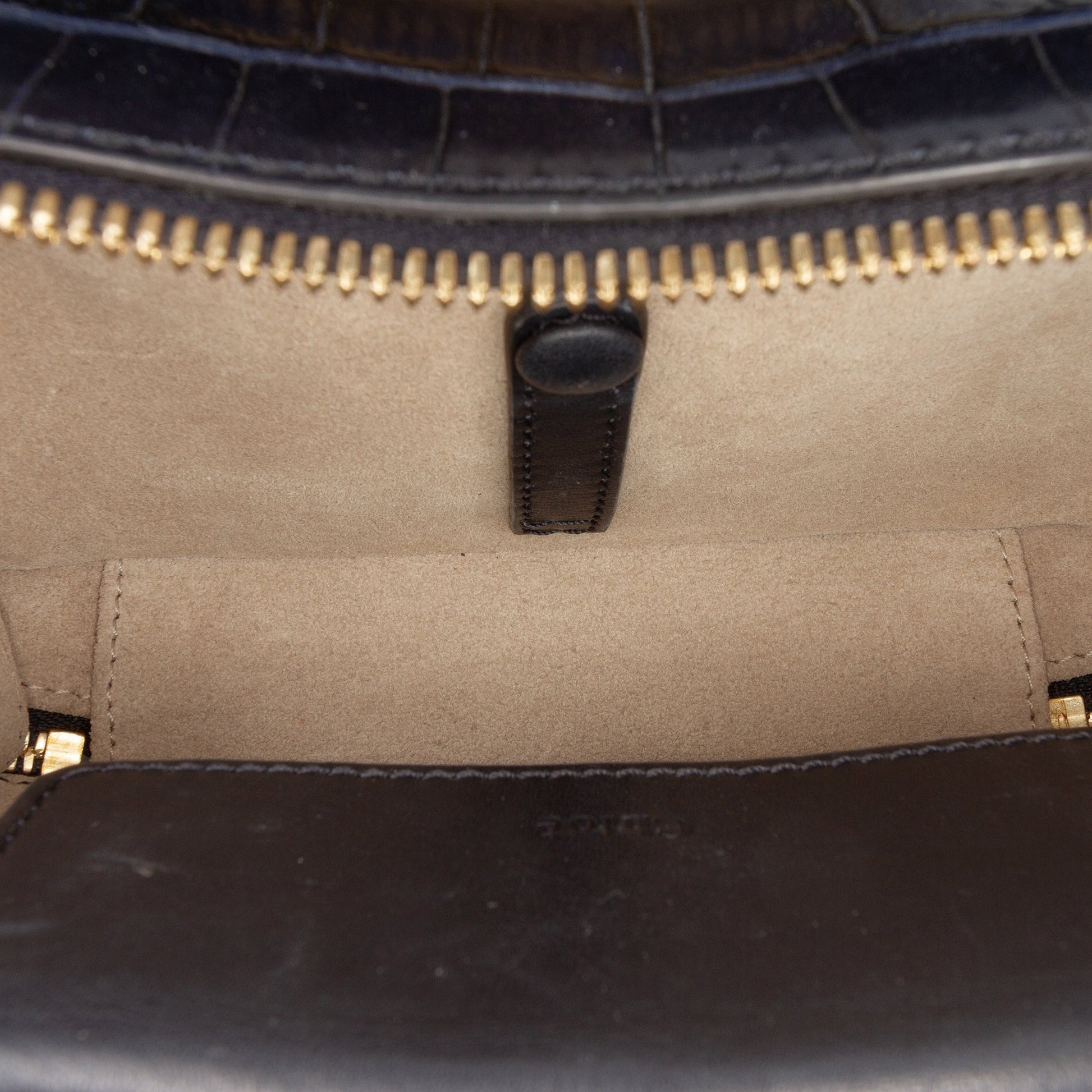 Mini Croc Embossed Leather C Vanity Bag
