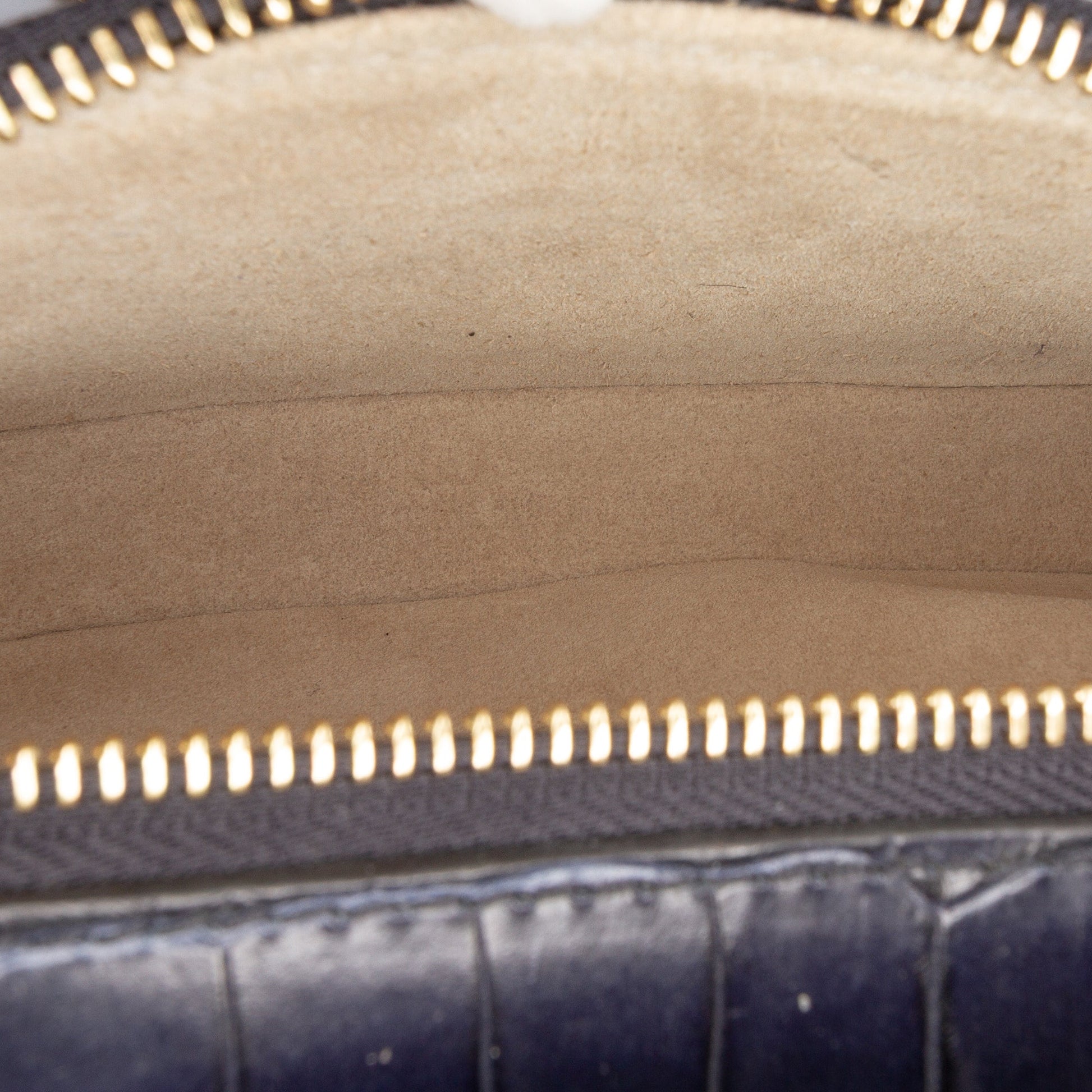 Mini Croc Embossed Leather C Vanity Bag