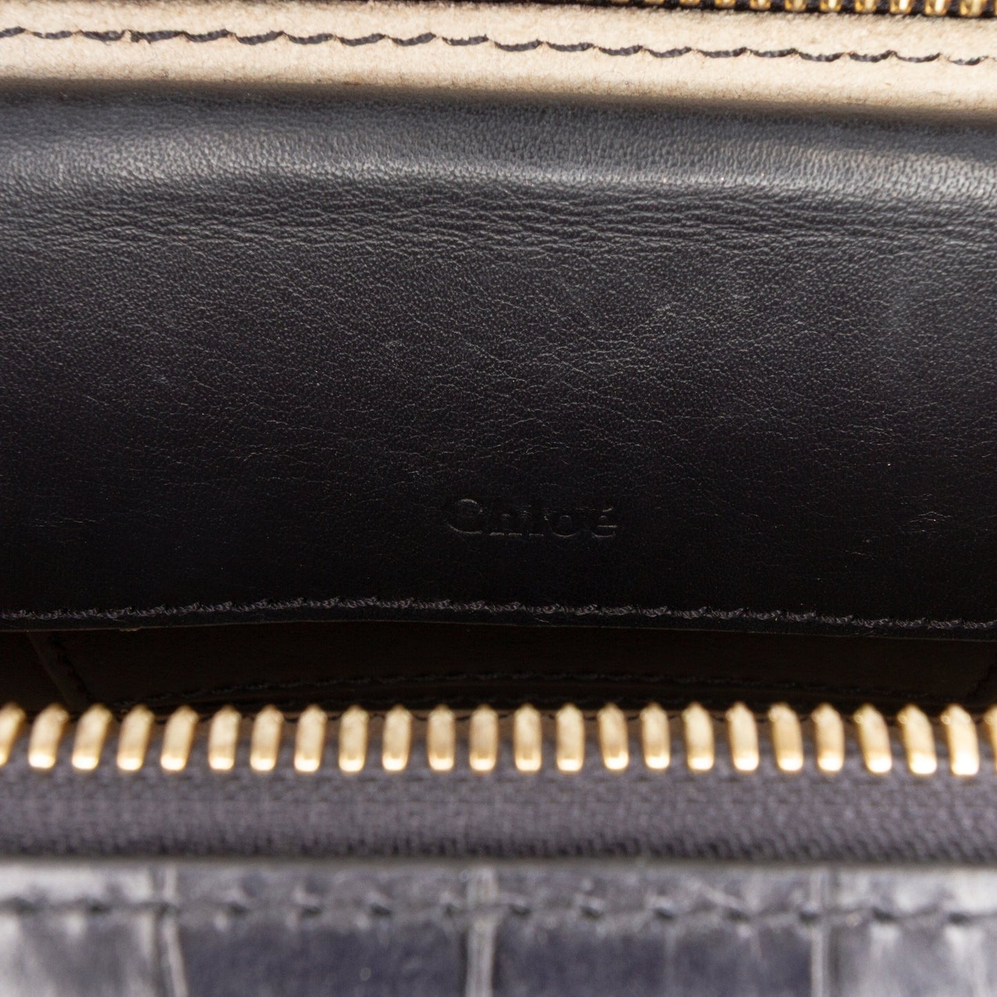 Mini Croc Embossed Leather C Vanity Bag