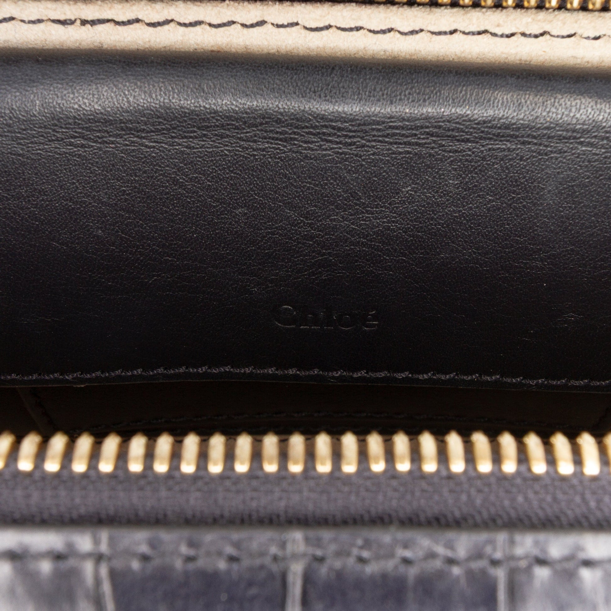 Mini Croc Embossed Leather C Vanity Bag