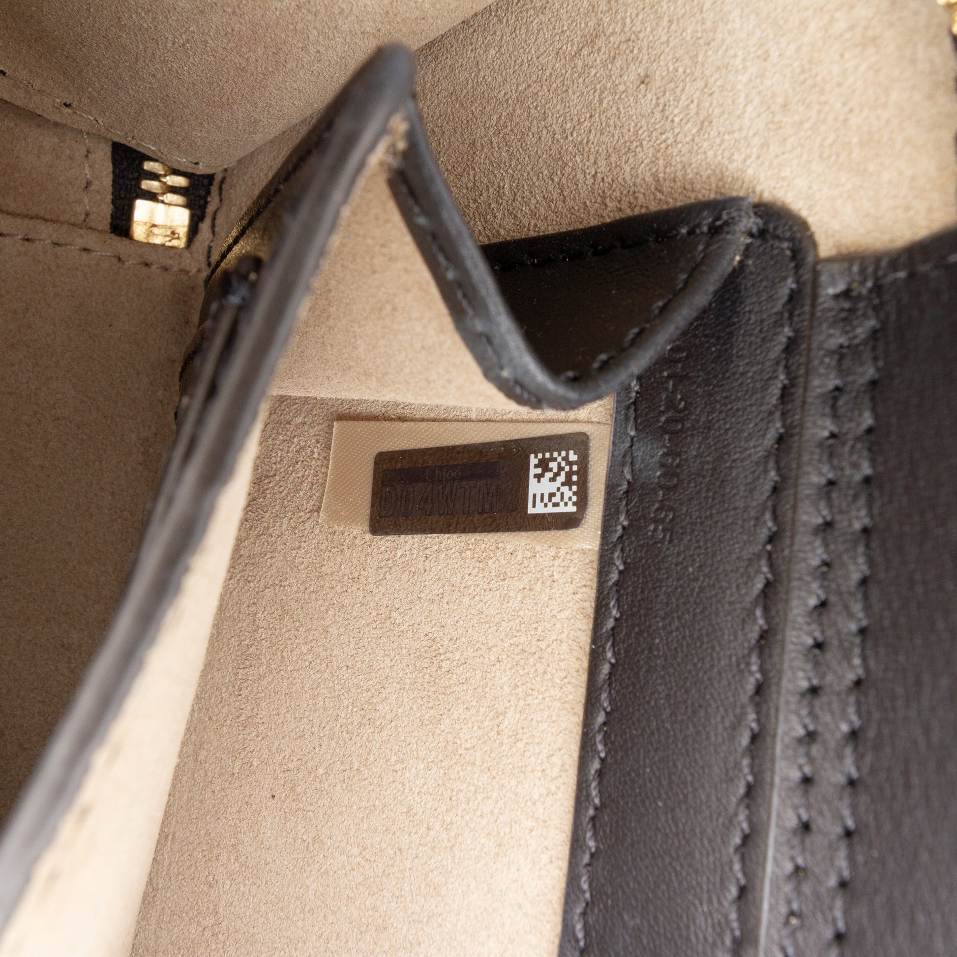 Mini Croc Embossed Leather C Vanity Bag