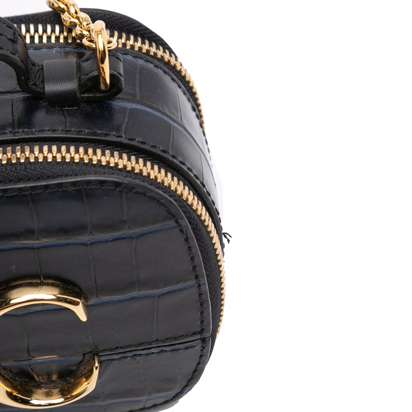 Mini Croc Embossed Leather C Vanity Bag