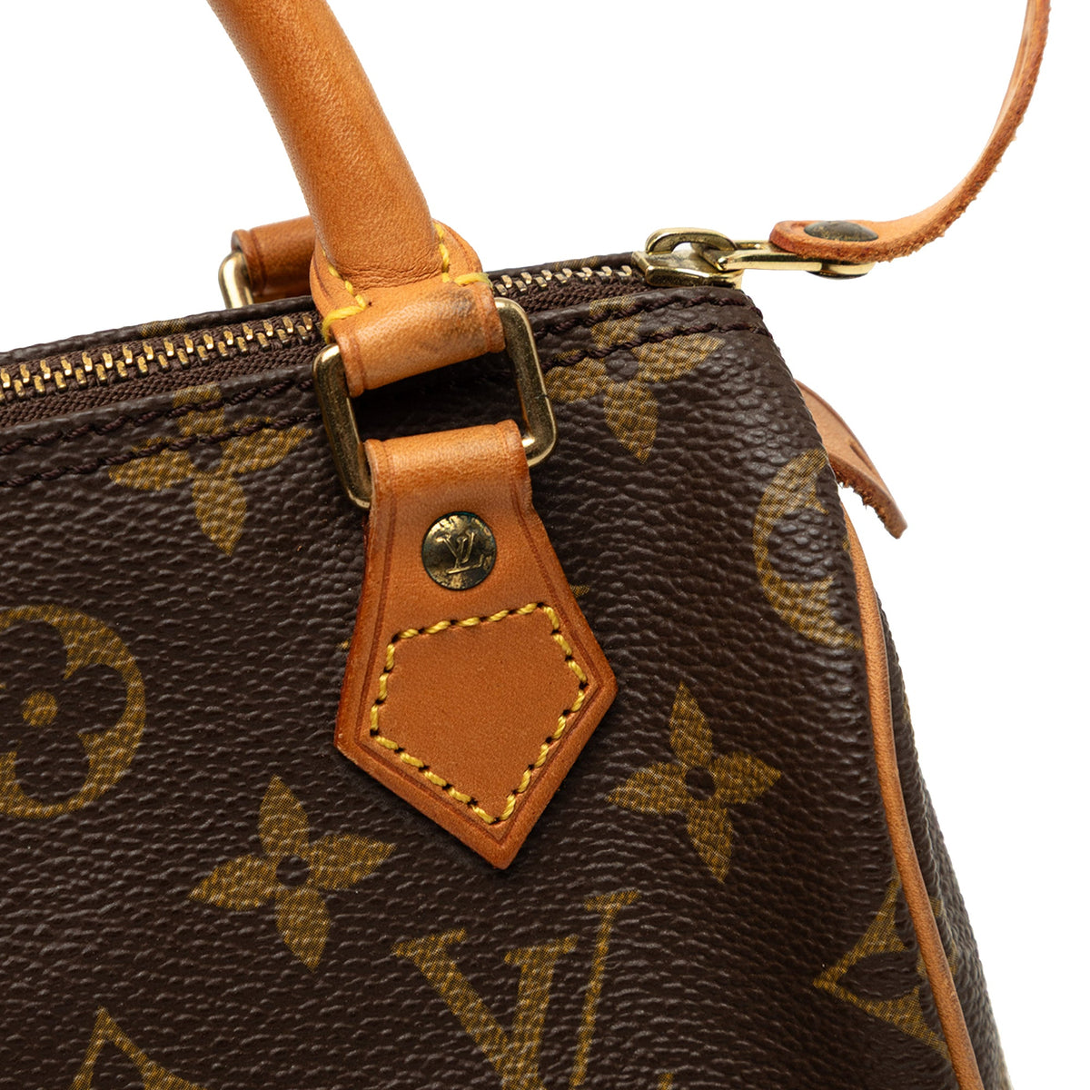 Louis Vuitton Monogram Nano Speedy Bandouliere