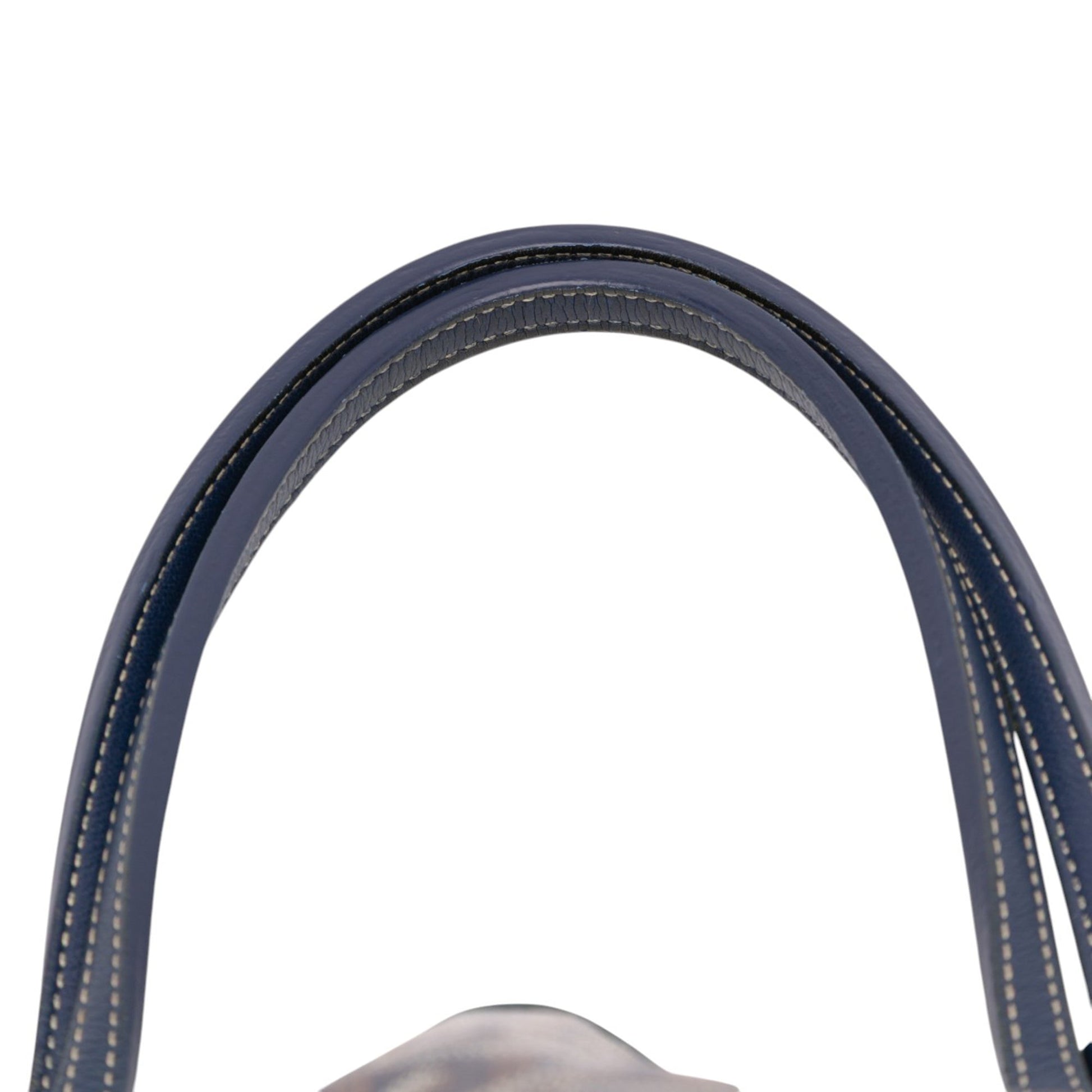 Goyard Goyardine Saint Louis PM