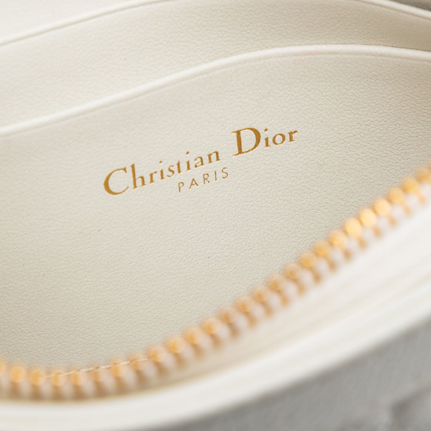 Dior Supple Cannage Calfskin Caro Every Dior Pouch
