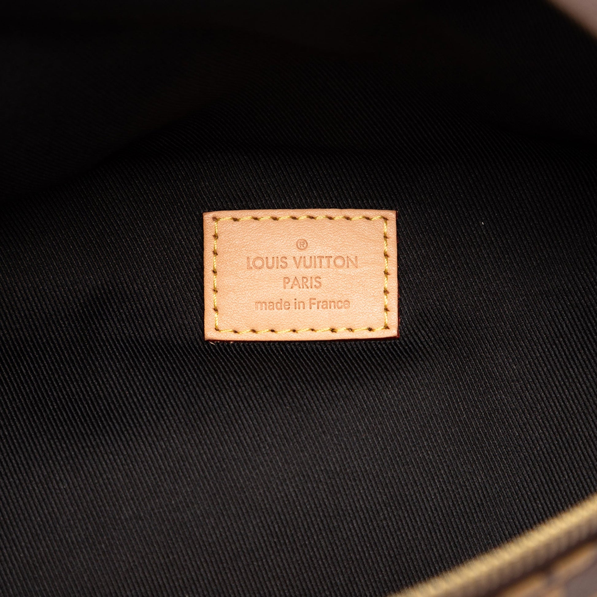 Louis Vuitton Monogram Bumbag