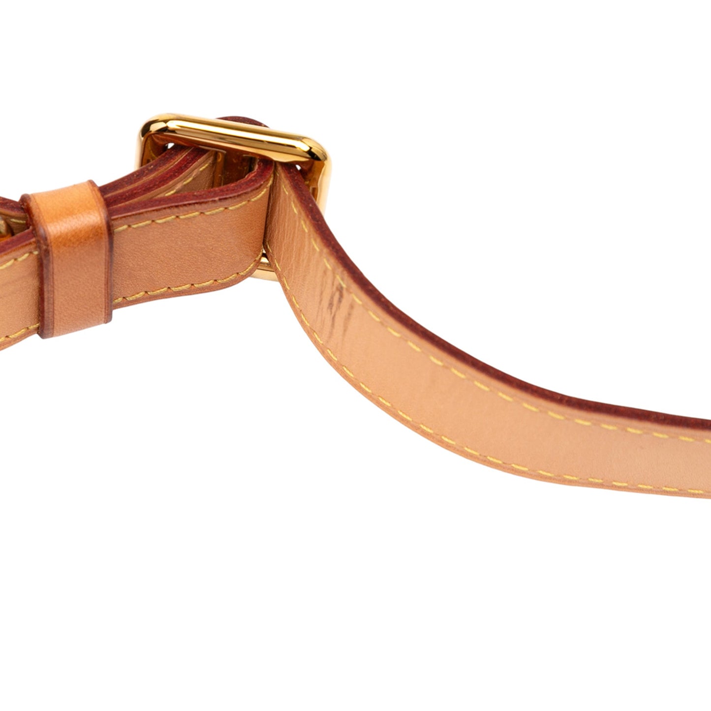 Louis Vuitton Monogram Bumbag