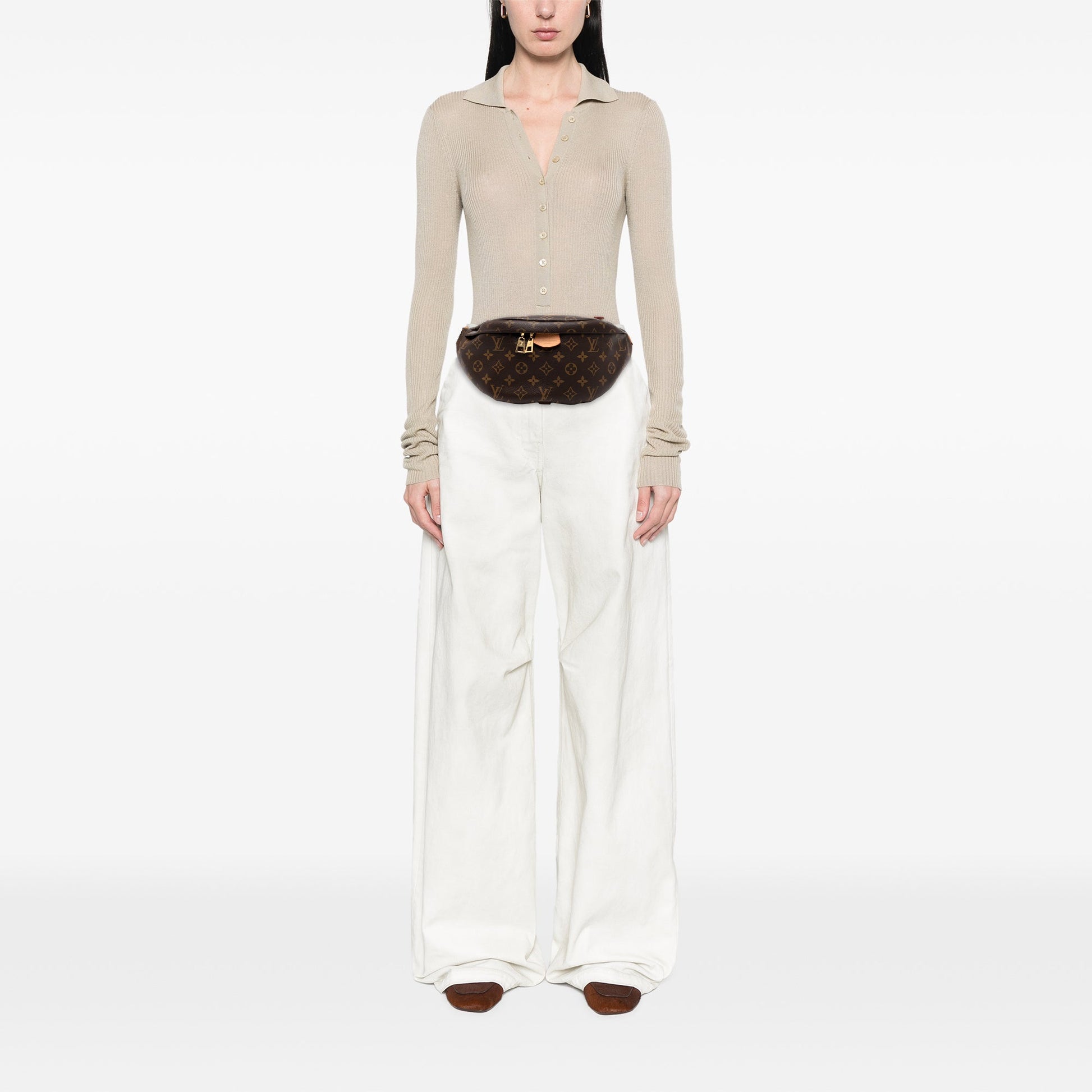 Louis Vuitton Monogram Bumbag