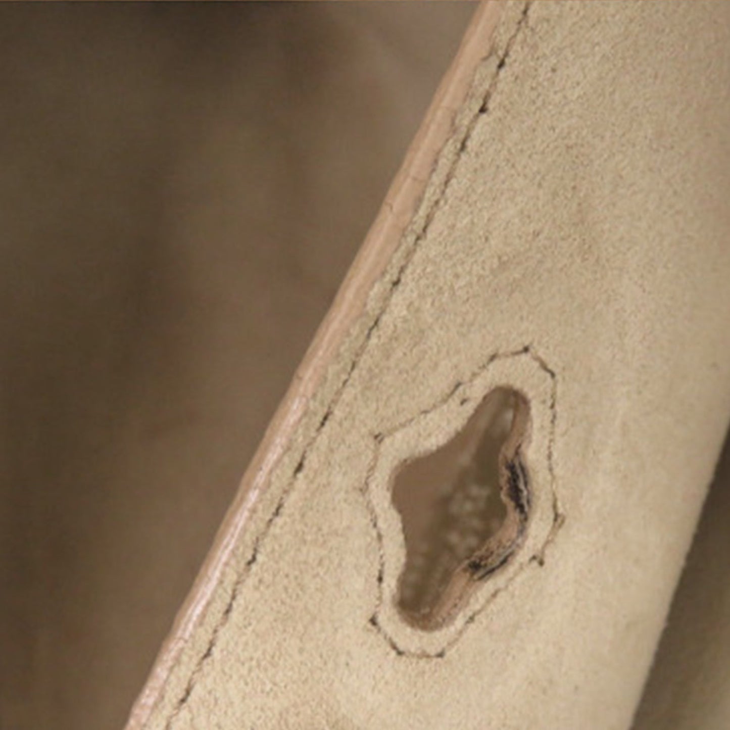 Fendi Medium Leather Selleria Carla Tote