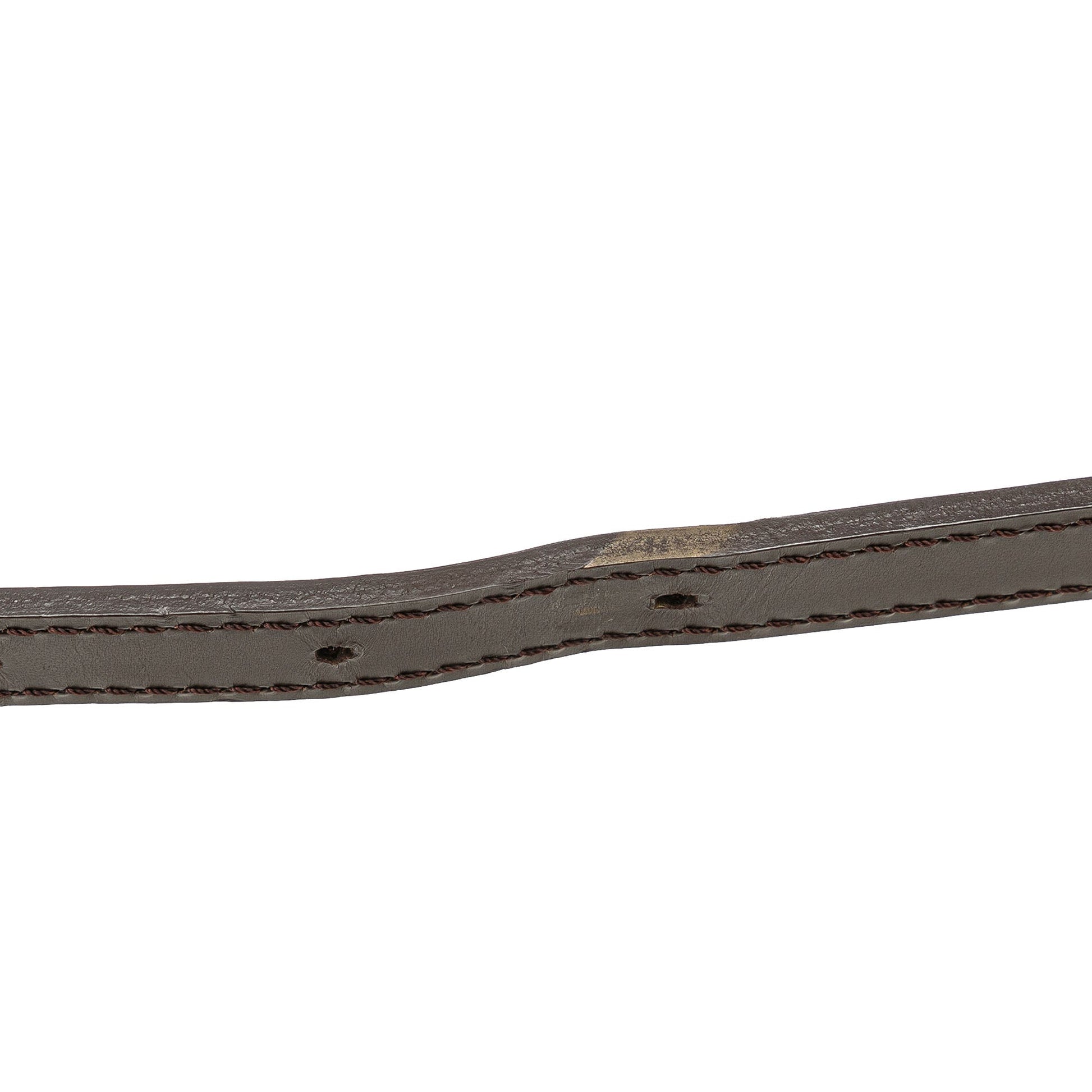 Louis Vuitton Damier Ebene Musette Salsa Long Strap
