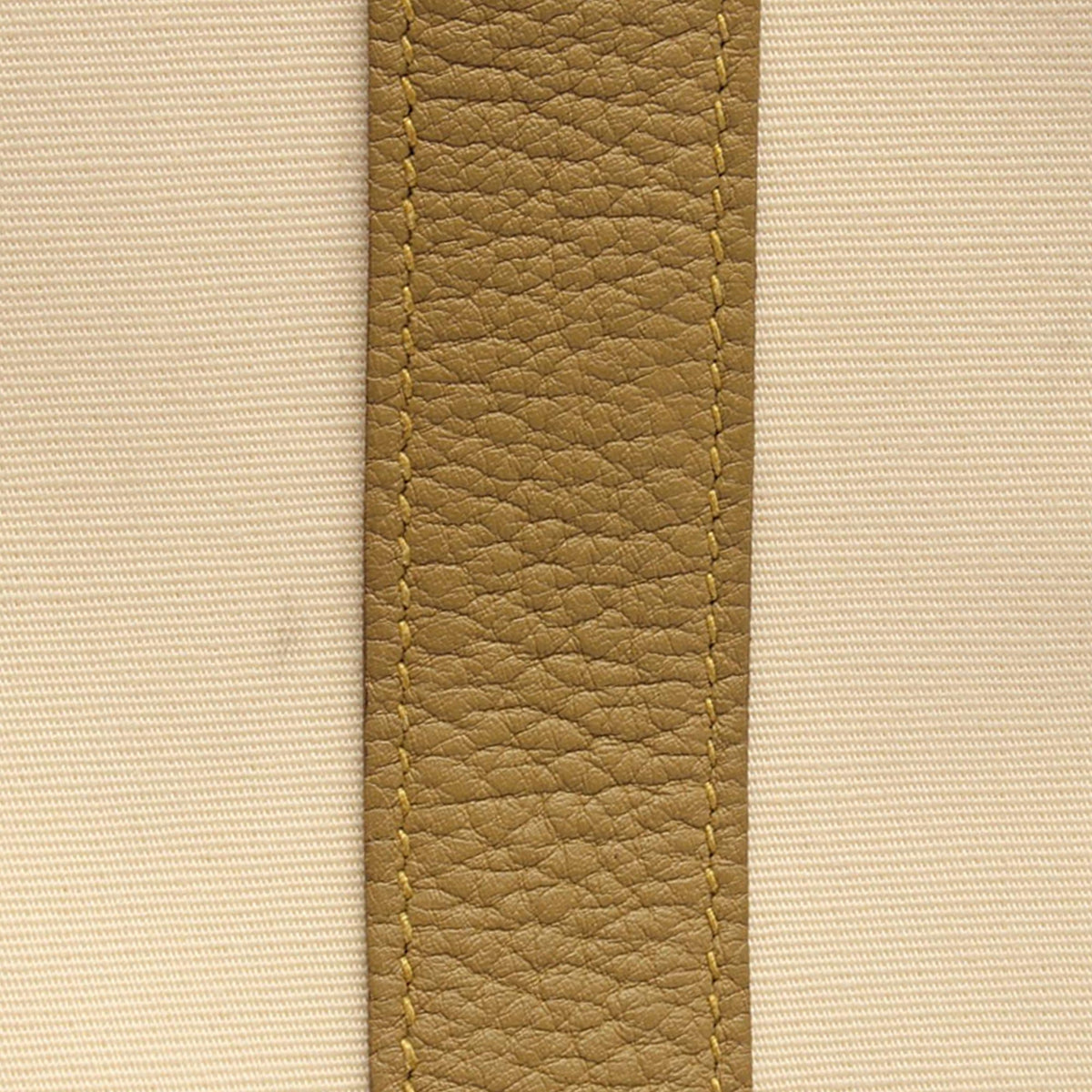 Hermès Toile Garden Party TPM