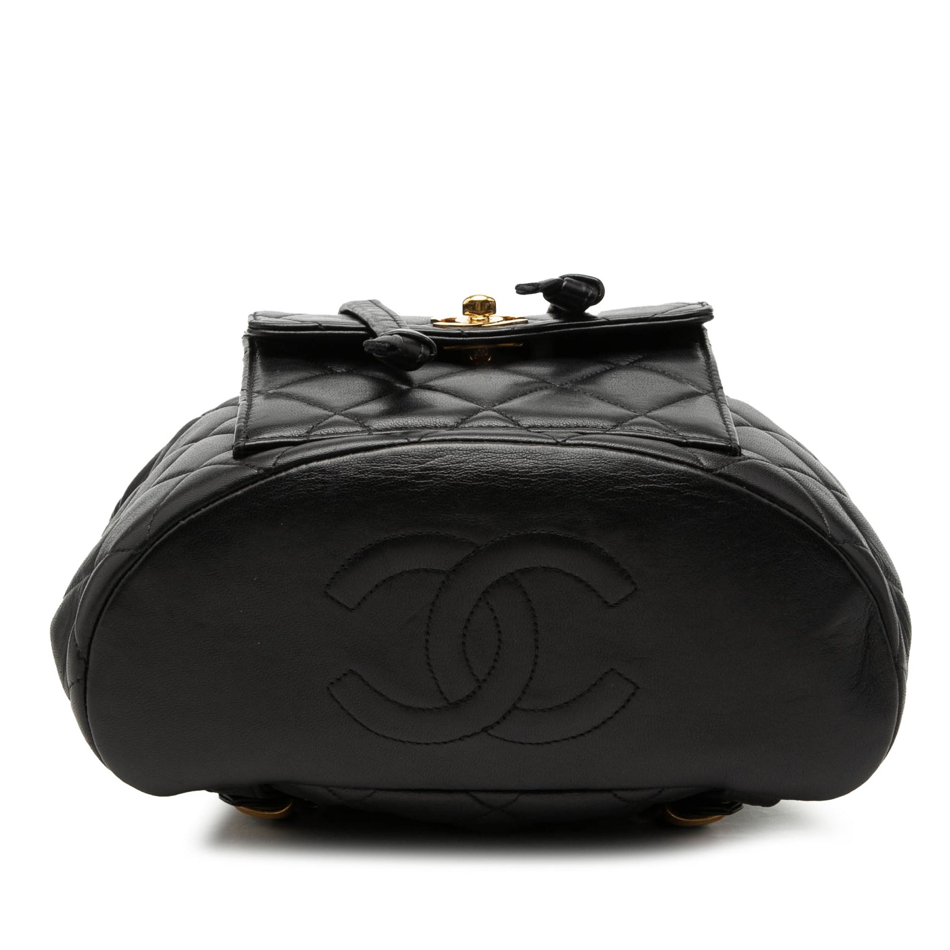 Chanel Medium Quilted Lambskin Duma Backpack