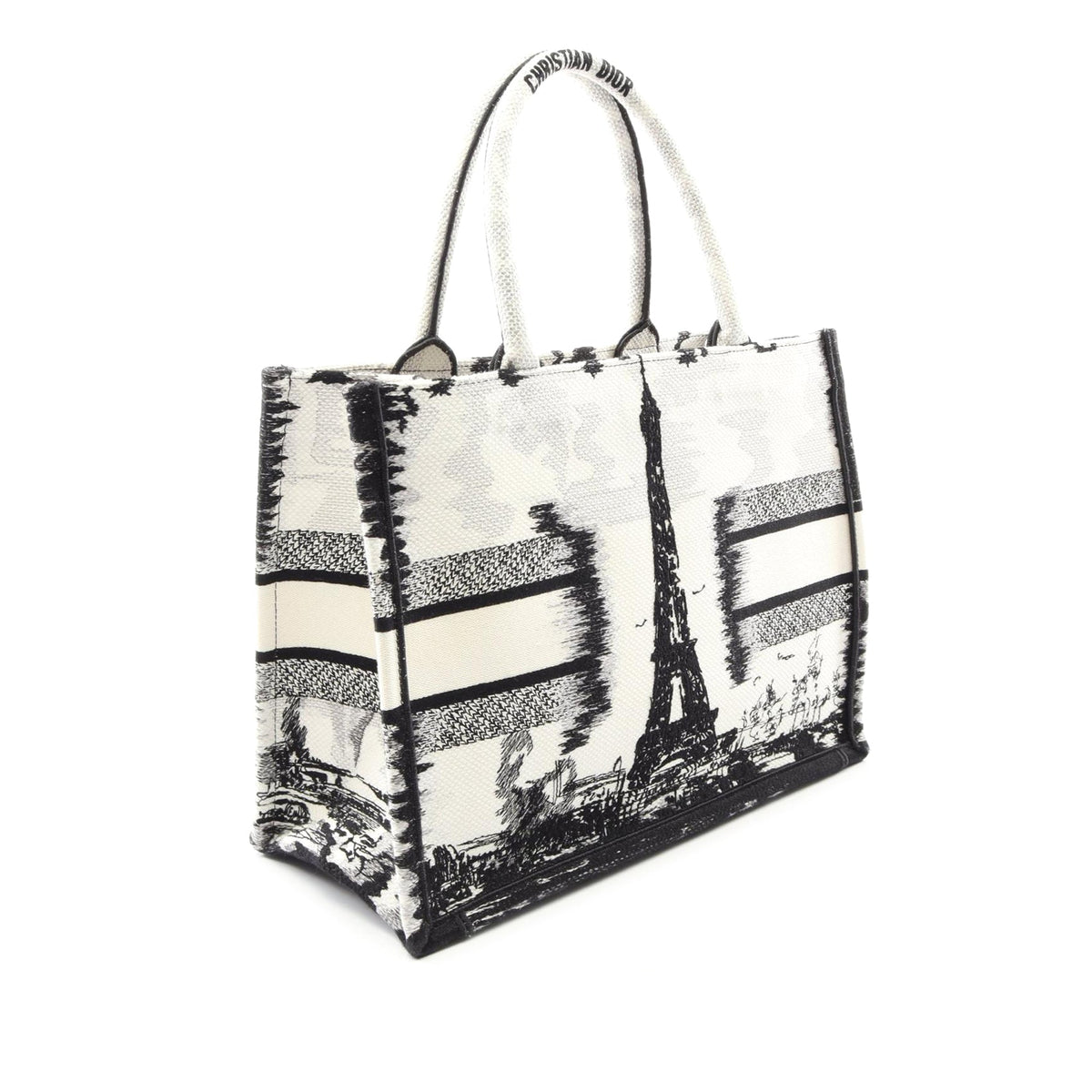 Dior Medium Embroidered Canvas Eiffel Tower Book Tote