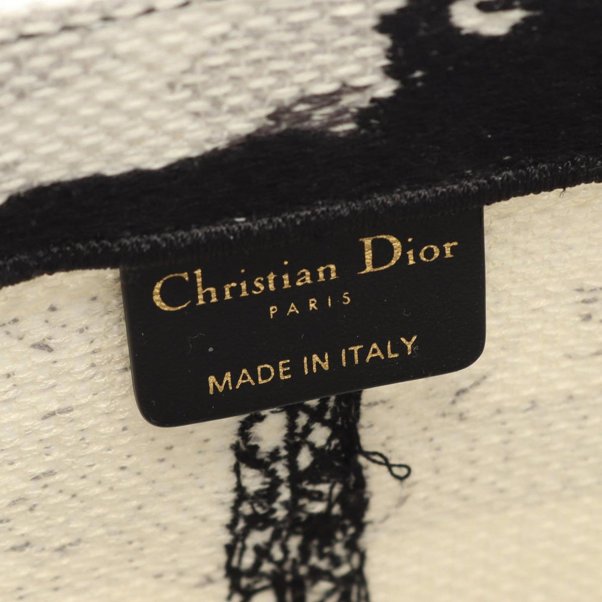 Dior Medium Embroidered Canvas Eiffel Tower Book Tote