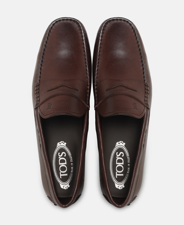 Tod's Moccasins