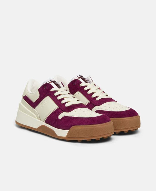Tod's Sneakers Cassetta 51k