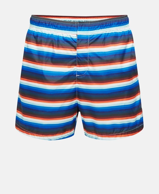 Swimming shorts