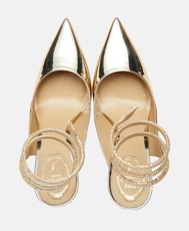 Rene Caovilla Pumps with calf lacing
