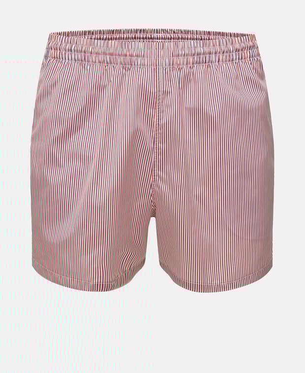 Swimming shorts