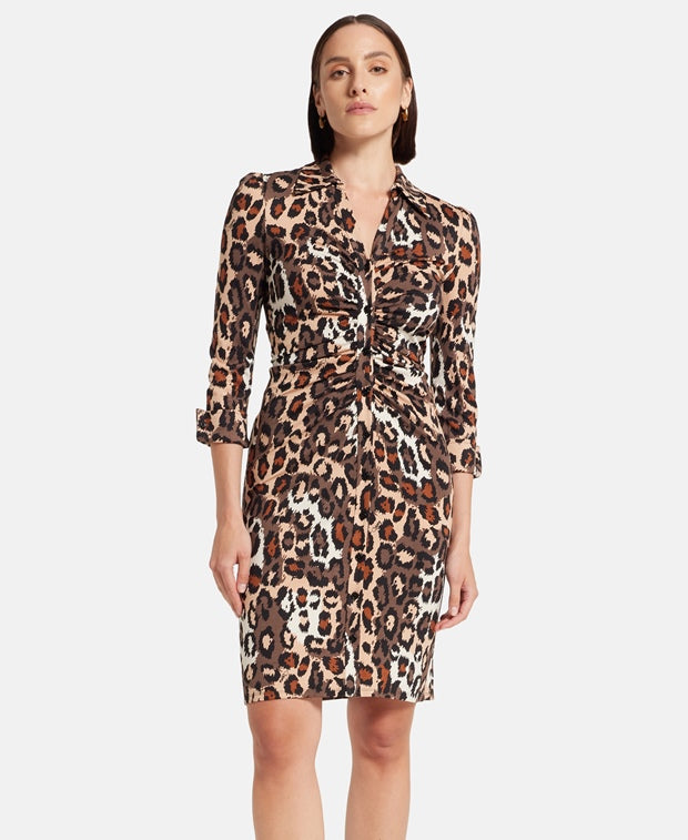 Diane von Furstenberg Shirt dress