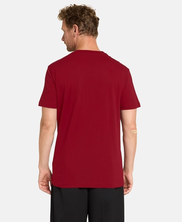 Dolce & Gabbana Crew neck t-shirt Bordeaux