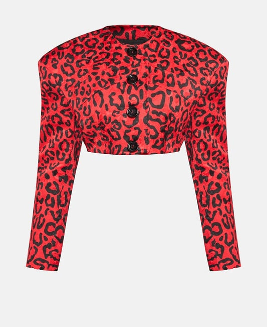 Dolce & Gabbana Elegant jacket Dark Red