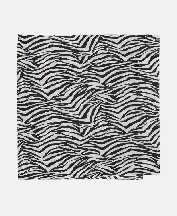 Dolce & Gabbana Scarf