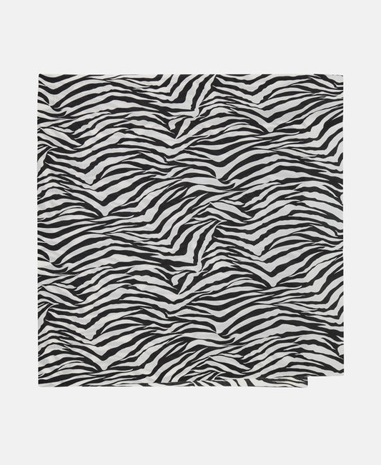 Dolce & Gabbana Scarf