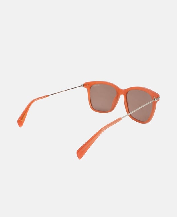 Max Mara Sunglasses