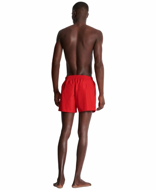 Balmain Swimming shorts