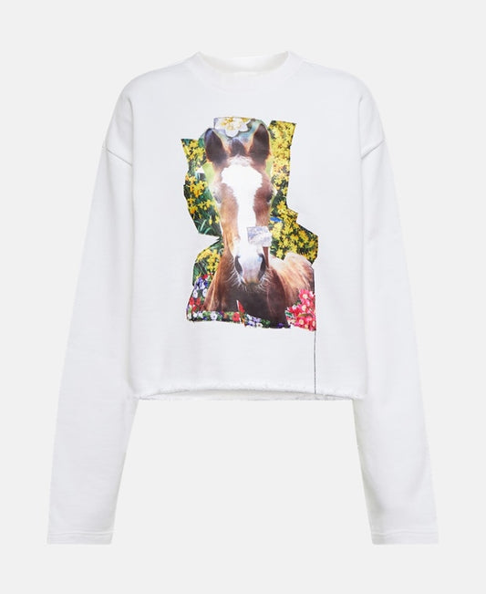 Acne Studios Sweatshirt