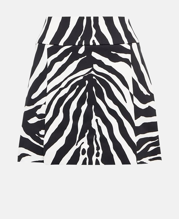 Dolce & Gabbana Miniskirt