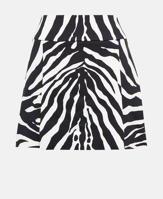 Dolce & Gabbana Miniskirt