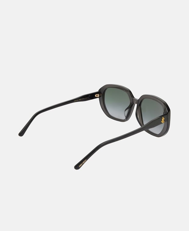 Jimmy Choo Sunglasses