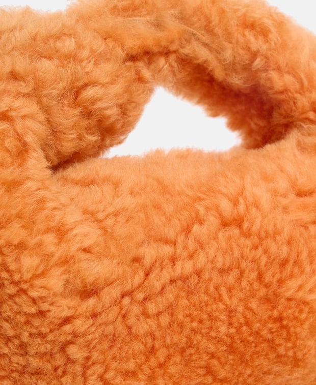 Bottega Veneta Handbag Orange