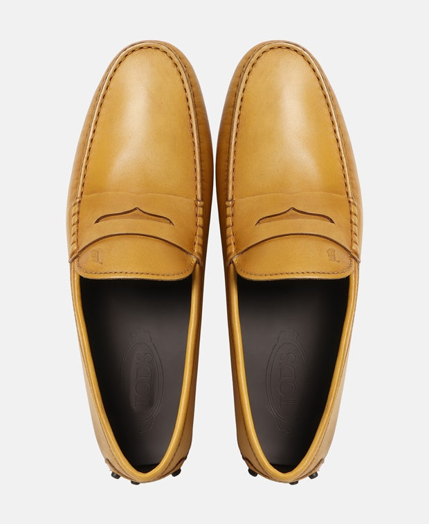 Tod's Moccasins